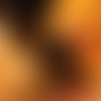 EvaWillig_90 im Bild